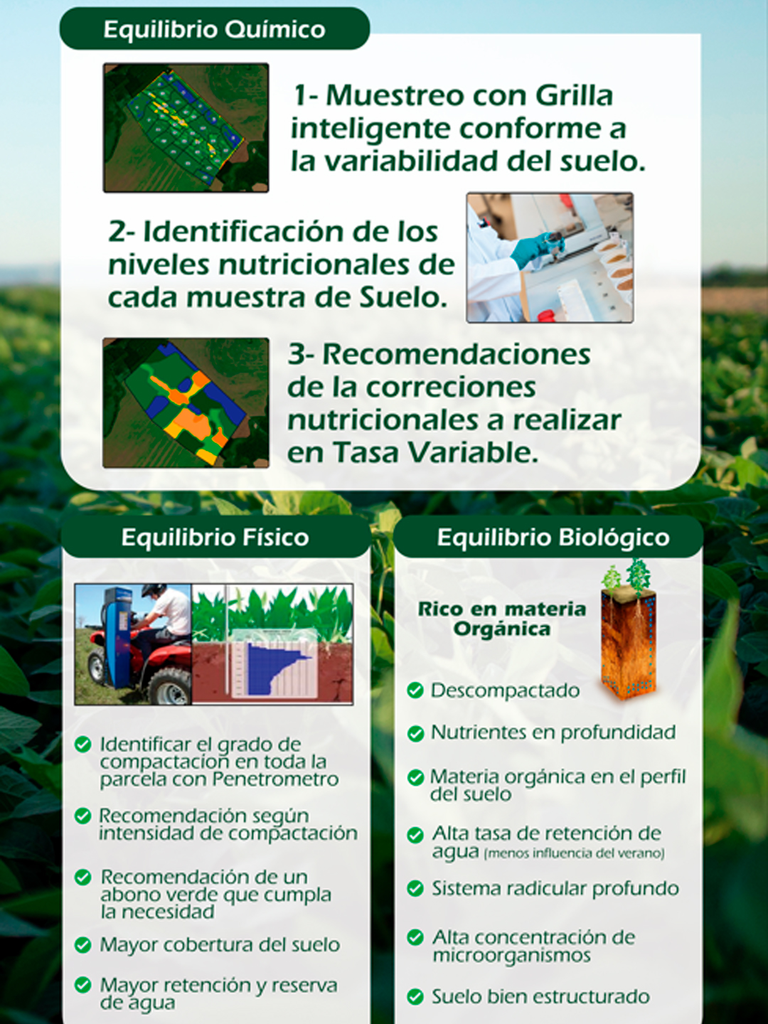 Equilibrio del Suelo - Químico, Físico y Biológico